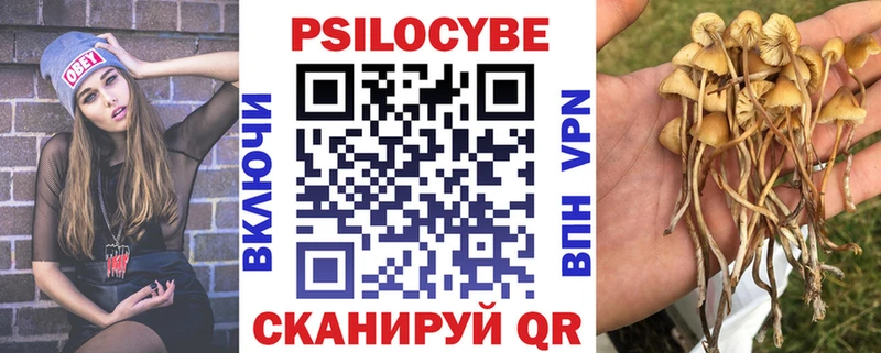 Псилоцибиновые грибы Psilocybe  Рошаль 